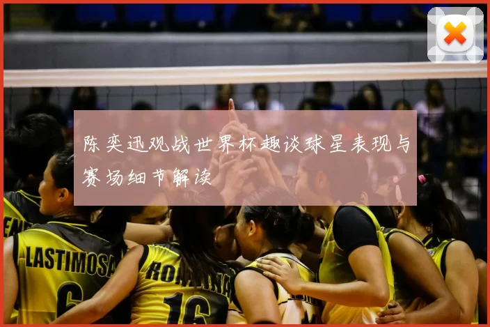 陈奕迅观战世界杯趣谈球星表现与赛场细节解读