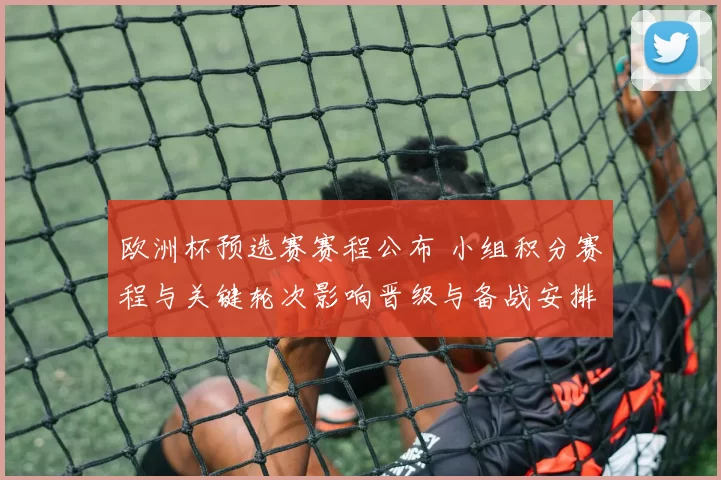 欧洲杯预选赛赛程公布 小组积分赛程与关键轮次影响晋级与备战安排