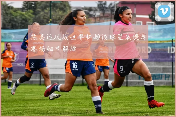 陈奕迅观战世界杯趣谈球星表现与赛场细节解读