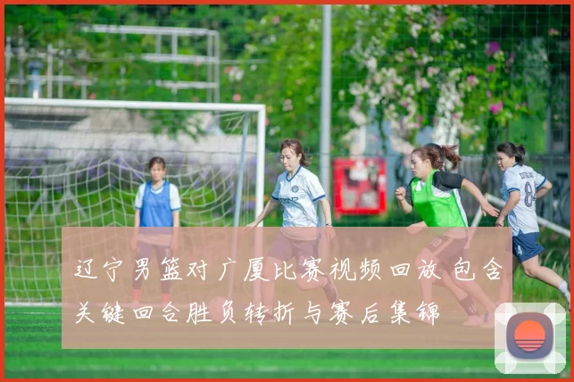 辽宁男篮对广厦比赛视频回放 包含关键回合胜负转折与赛后集锦