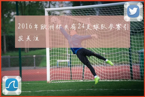 2016年欧洲杯共有24支球队参赛引发关注