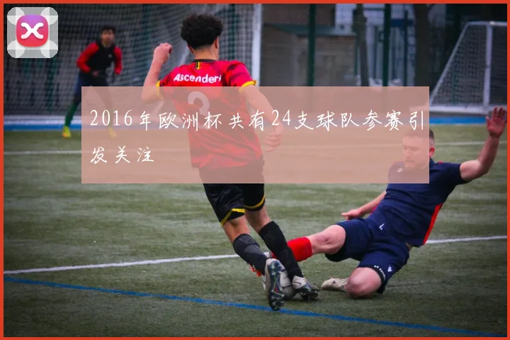 2016年欧洲杯共有24支球队参赛引发关注