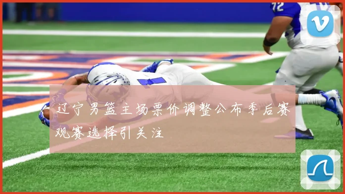 辽宁男篮主场票价调整公布季后赛观赛选择引关注