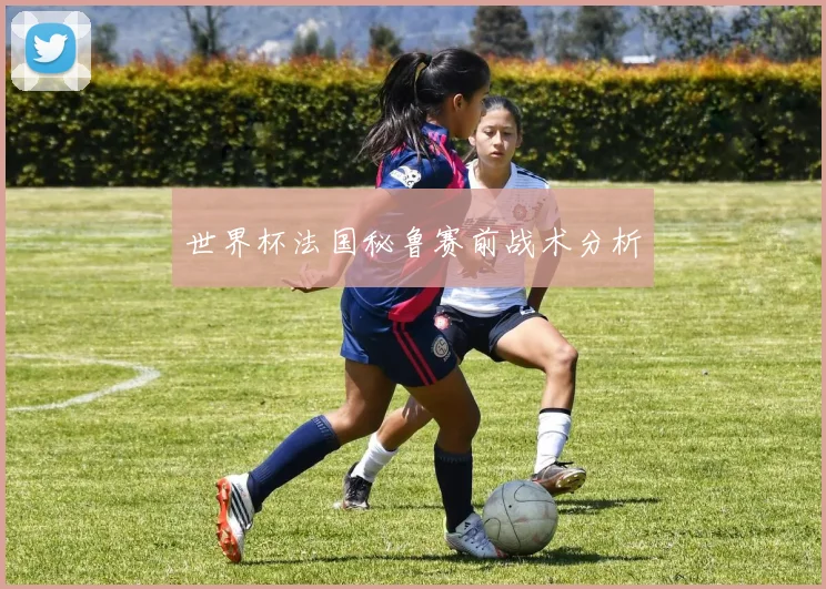 世界杯法国秘鲁赛前战术分析