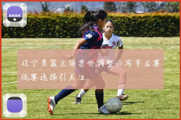 辽宁男篮主场票价调整公布季后赛观赛选择引关注