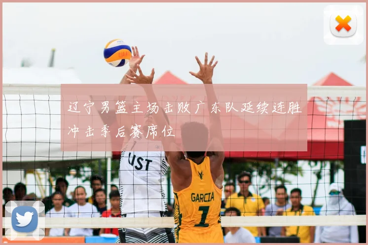 辽宁男篮主场击败广东队延续连胜冲击季后赛席位