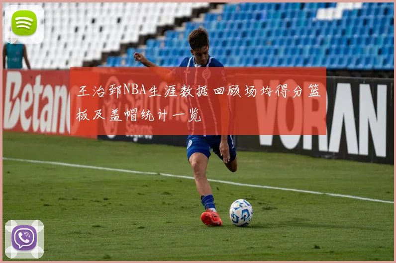 王治郅NBA生涯数据回顾场均得分篮板及盖帽统计一览