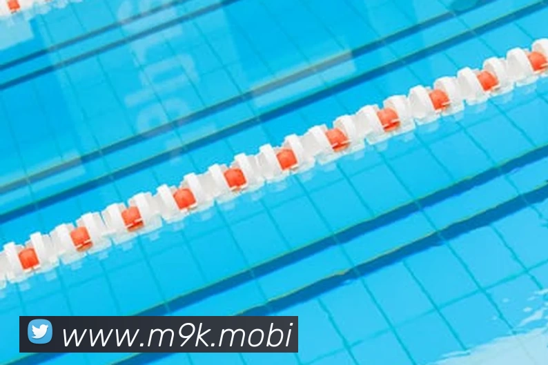 人人体育 - 网络直播NBA,足球直播,CBA直播在线看球 - 人人体育直播网发展历程